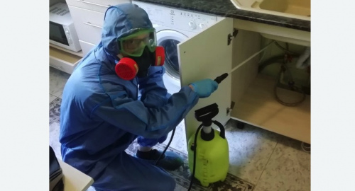 Уничтожение муравьев в квартире. Ярополец