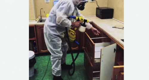 Уничтожение насекомых в квартире. Ярополец