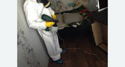 Обработка квартир от насекомых в Яропольце