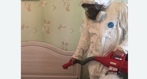 Уничтожение клещей в квартире. Ярополец