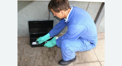 Уничтожение мышей. Ярополец