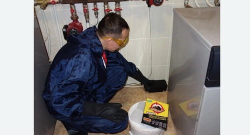 Дератизация крыс. Ярополец