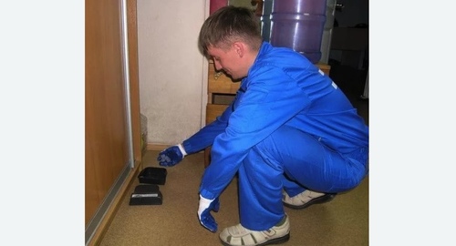 Обработка от крыс в Яропольце