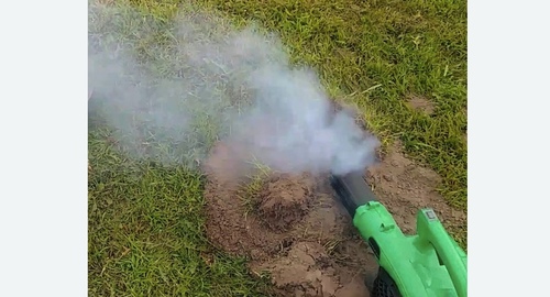 Обработка от кротов в Яропольце