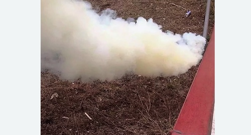 Уничтожение кротов на участке в Яропольце