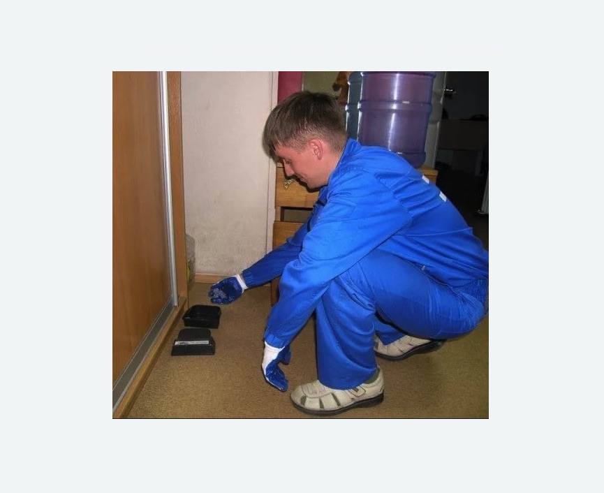 Дератизация крыс в Яропольце