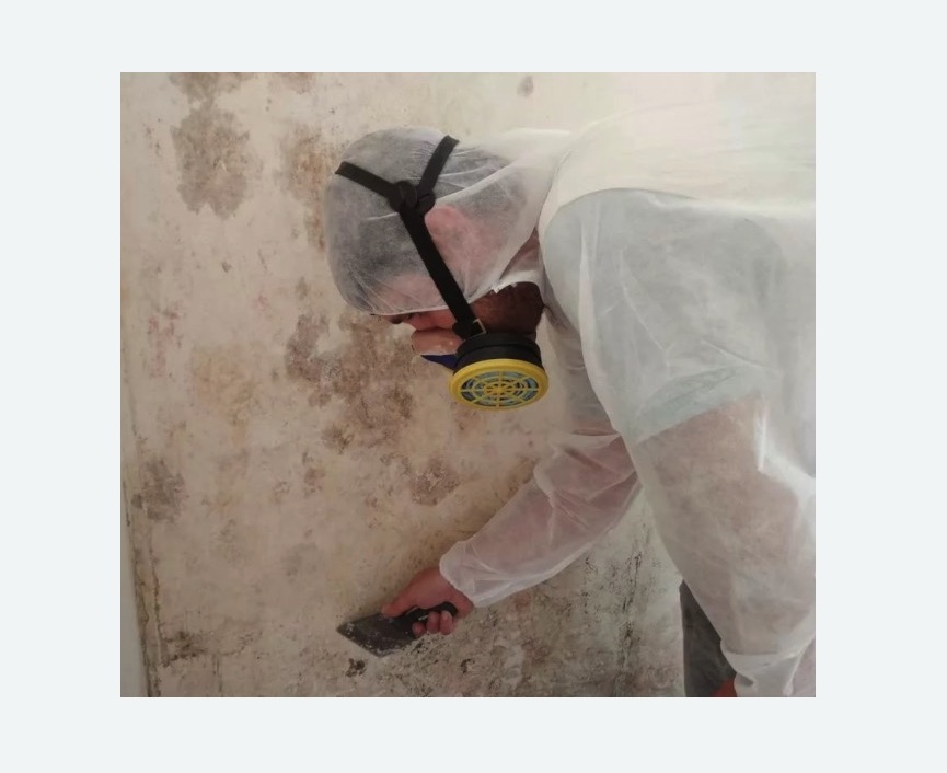 Обработка стен от плесени в Яропольце