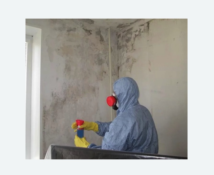 Удаление плесени в квартире в Яропольце