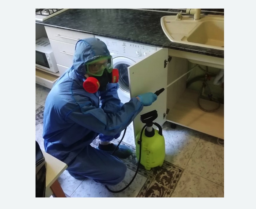 обработка от муравьев в квартире в Яропольце