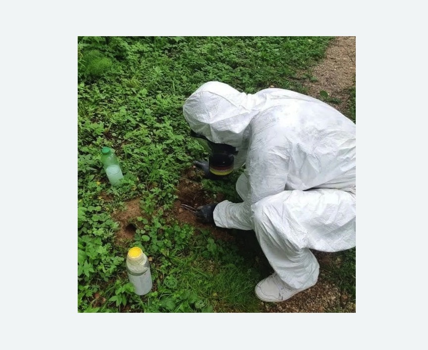 уничтожение кротов на участке в Яропольце