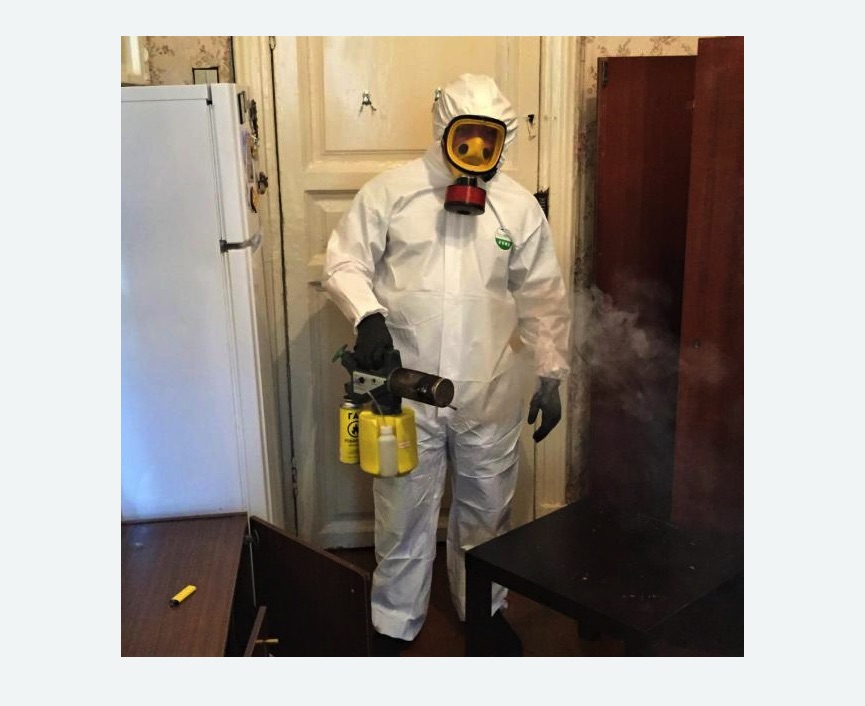 уничтожение муравьев в квартире в Яропольце